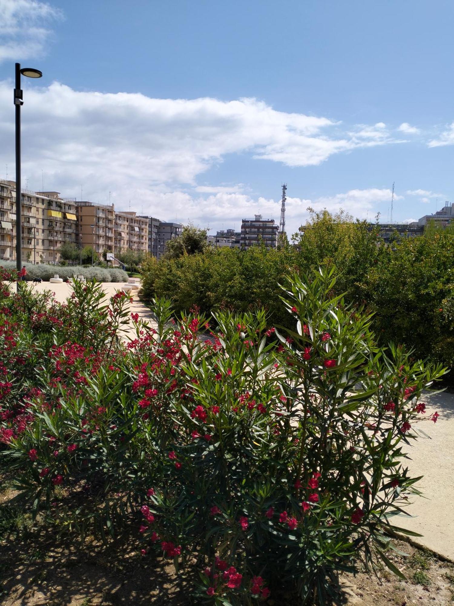 בארי Princess Iolanda Charming House מראה חיצוני תמונה